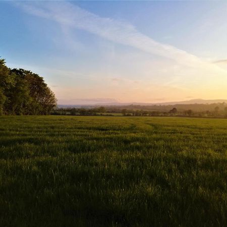Moneylands Farm B&B Арклоу Екстериор снимка