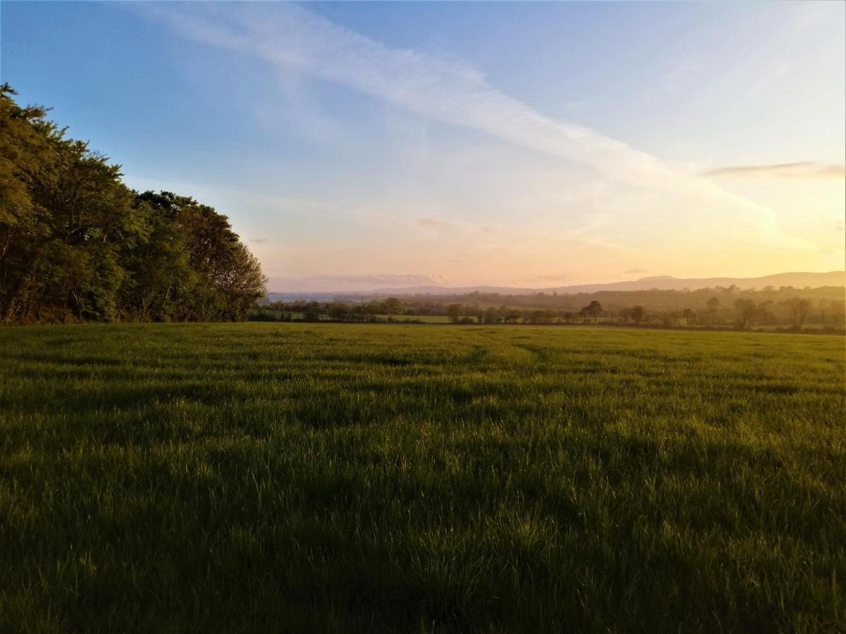Moneylands Farm B&B Арклоу Екстериор снимка